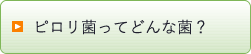 ピロリ菌ってどんな菌?